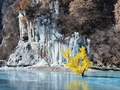 -少华山国家森林公园