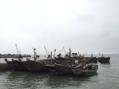 -日照世帆赛基地