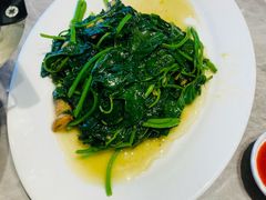 金不换炒红薯叶-百年银屏·蚝烙专门店(乐山店)