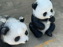 -呼兰河口湿地公园