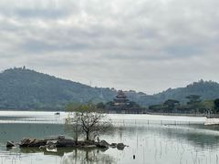 -顺峰山公园