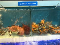 -盒马鲜生(杭州运河上街店)