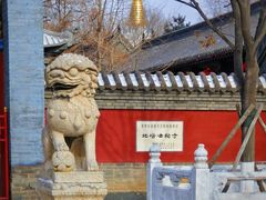 -护国法轮寺