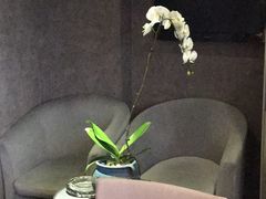 卡座-浩运海鲜·16年专注青岛菜(石老人店)