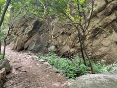 -大岭沟猕猴桃谷风景区