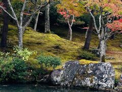 -天龙寺