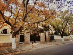 -八大关景区