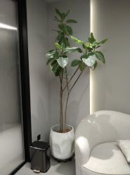 -颜蕾医美·黄金微针·水光·玻尿酸·超声炮·抗衰中心