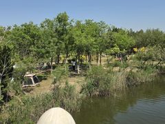 -大港湿地公园