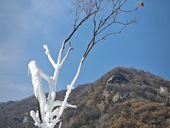 -秦岭终南山世界地质公园翠华山景区