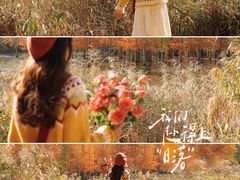 -白鹭湾湿地公园