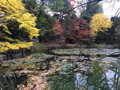 -北海道厅旧本厅舍(旧本庁舎)