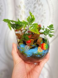 -兰心墩楠月子会所(万达店)