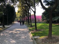 -上海市龙华烈士陵园