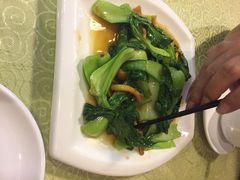 鹤乡东北菜馆-鹤乡东北菜(崮山路店)