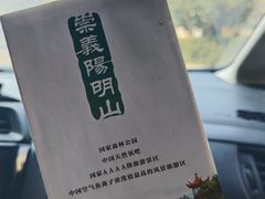 -江西阳明山国家森林公园