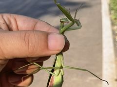 -洛阳花果山景区