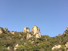 -大岭沟猕猴桃谷风景区