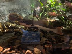 -Zoolung Zoolung动物主题公园(海信广场店)