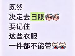 -日照海滨国家森林公园