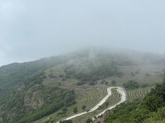 -妙峰山风景名胜区