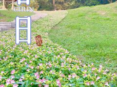 -广州市白云山风景名胜区