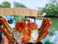 -欢乐蟹庄·精品农家乐(阳澄湖莲花岛店)