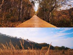 -白草畔自然风景区