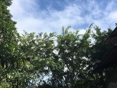 -海南槟榔谷黎苗文化旅游区