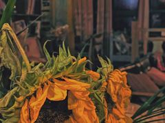 -BUND·FIVE外滩5号(天际店)