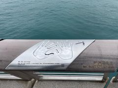 -星光大道