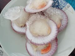 -渔家火锅·海鲜自助餐·演艺(亚龙湾天域酒店)