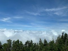 -富士山吉田線五合目