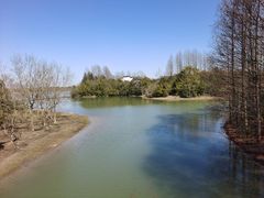 -上海海湾国家森林公园