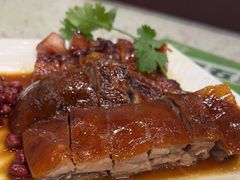 叉烧烧鹅双拼饭-新辉港式茶餐厅(北栅店)