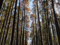 -山王坪喀斯特国家生态公园