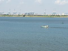 -大湾区中央湿地公园