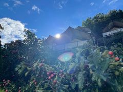 -北京山里寒舍度假酒店