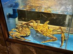 -德米火锅(深圳湾1号旗舰店)