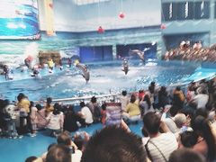 -多彩贵州城极地海洋世界