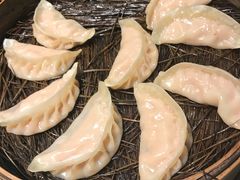 传统大肉蒸饺-松针蔡记蒸饺(花园路店)