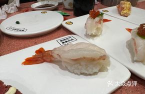 Red Sea Shrimp