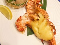 -活伊势龙虾料理 中纳言(千日前味乐馆店)