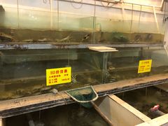 水产区-喜洋洋蟹庄(阳澄湖店)
