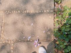 -广州珠江公园