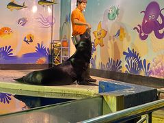 -太平洋海底世界