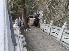 -九华山风景区