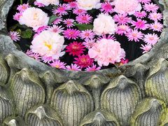 -兰纳泰式spa(古城店)