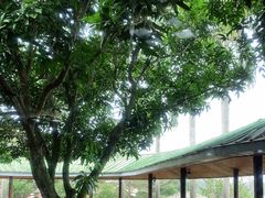 -侯臣咖啡文化村