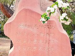 -海棠花溪(元大都城垣遗址公园)